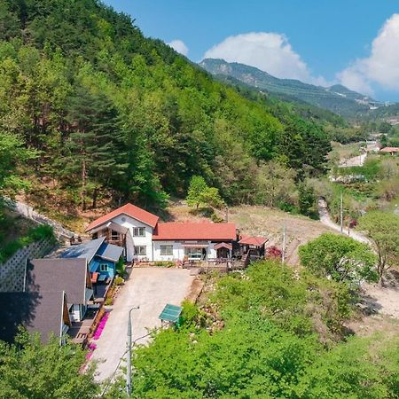 Samcheok Deulre Pension Esterno foto